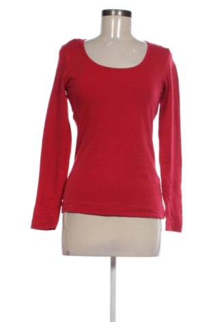 Damen Shirt Esmara, Größe M, Farbe Rot, Preis € 15,00, #137579492