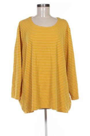 Γυναικεία μπλούζα Unbranded, Μέγεθος 4XL, Χρώμα Πολύχρωμο, Τιμή 10,96 €, #137591524