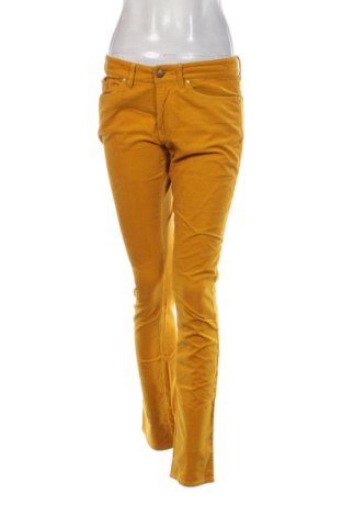 Damskie sztruksy Tommy Hilfiger, Rozmiar L, Kolor Żółty, Cena 99,20 zł, #137564047