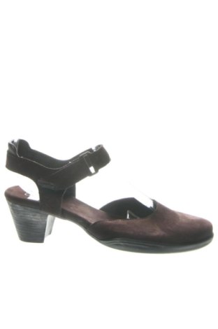 Damenschuhe Arche, Größe 36, Farbe Braun, Preis € 57,34, #137523415