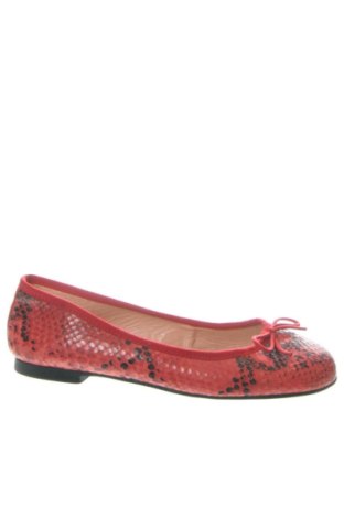 Încălțăminte de damă Fun & Basics, Mărime 36, Culoare Multicolor, Preț 344,18 Lei, #137528062