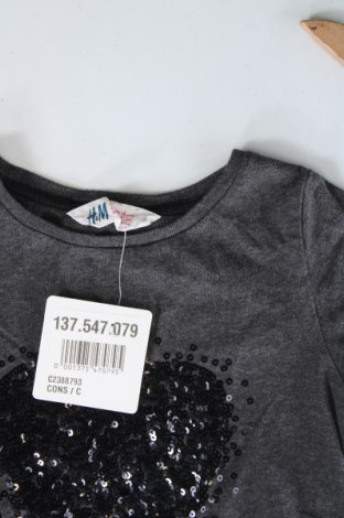 Bluză pentru copii H&M, Mărime 4-5y/ 110-116 cm, Culoare Gri, Preț 26,25 Lei, #137547079