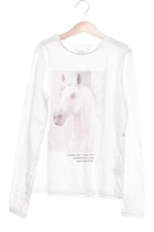 Detská blúzka  H&M, Veľkosť 12-13y/ 158-164 cm, Farba Viacfarebná, Cena  6,00 €, #137568822