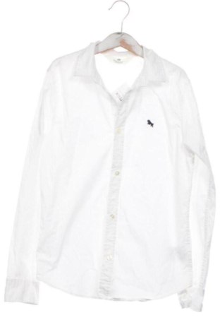 Kinderhemd H&M, Größe 8-9y/ 134-140 cm, Farbe Weiß, Preis € 7,00, #137585988