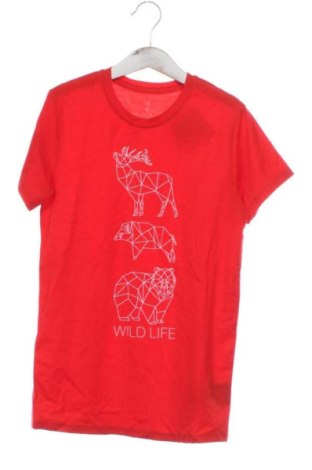 Dziecięcy T-shirt Zajo, Rozmiar 10-11y/ 146-152 cm, Kolor Czerwony, Cena 33,87 zł, #137584494