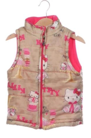Detská vesta  Unbranded, Veľkosť 4-5y/ 110-116 cm, Farba Viacfarebná, Cena  8,76 €, #137576688