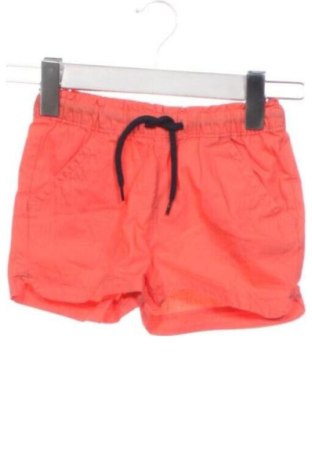 Pantaloni scurți pentru copii Lupilu, Mărime 4-5y/ 110-116 cm, Culoare Portocaliu, Preț 26,25 Lei, #137579020
