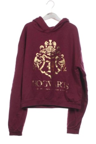 Παιδικό φούτερ Harry Potter, Μέγεθος 12-13y/ 158-164 εκ., Χρώμα Κόκκινο, Τιμή 9,74 €, #137600896
