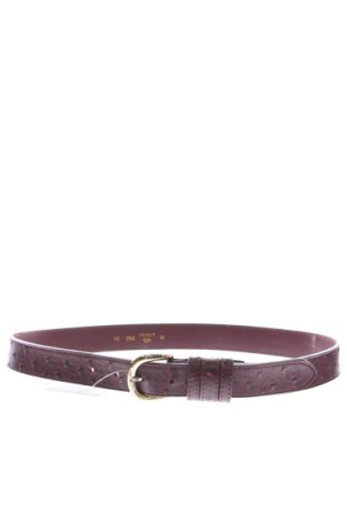 Ζώνη Carpisa, Χρώμα Πολύχρωμο, Τιμή 24,77 €, #137569411