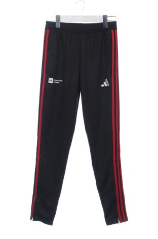 Pantaloni trening de bărbați Adidas, Mărime XS, Culoare Multicolor, Preț 115,48 Lei, #137537567