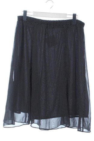 Fustă Helena Vera, Mărime XL, Culoare Multicolor, Preț 51,00 Lei, #137534539