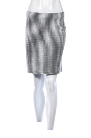 Φούστα Janina, Μέγεθος XL, Χρώμα Πολύχρωμο, Τιμή 5,99 €, #137586265
