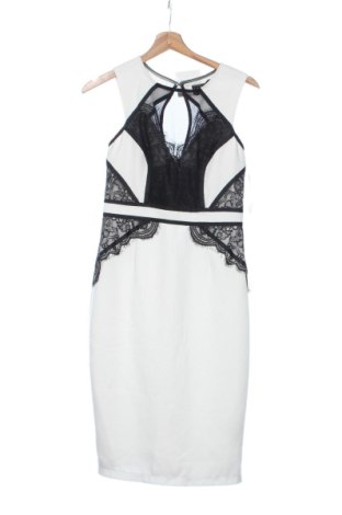 Kleid Lipsy, Größe S, Farbe Mehrfarbig, Preis € 75,29, #137579555