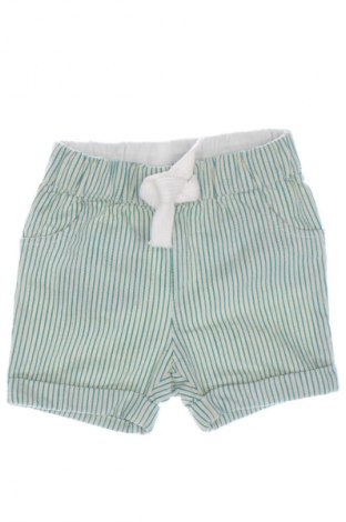 Kinder Shorts Petit Bateau, Größe 3-6m/ 62-68 cm, Farbe Mehrfarbig, Preis € 18,99, #128592744