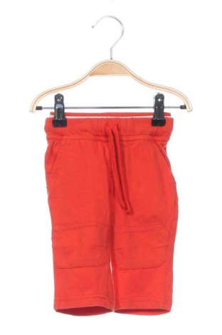 Kinderhose Fox Baby, Größe 3-6m/ 62-68 cm, Farbe Rot, Preis € 13,99, #128626793