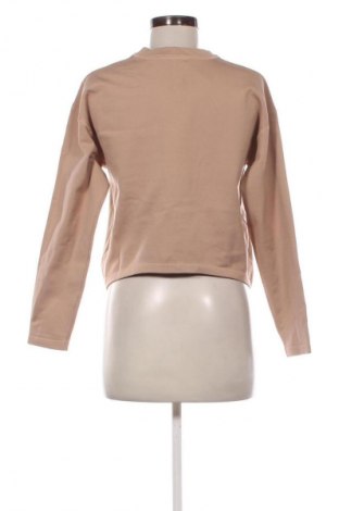 Γυναικεία μπλούζα ECHT, Μέγεθος L, Χρώμα  Μπέζ, Τιμή 1,99 €