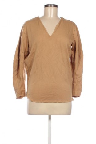 Damen Shirt Stylein, Größe S, Farbe Braun, Preis 18,99 €