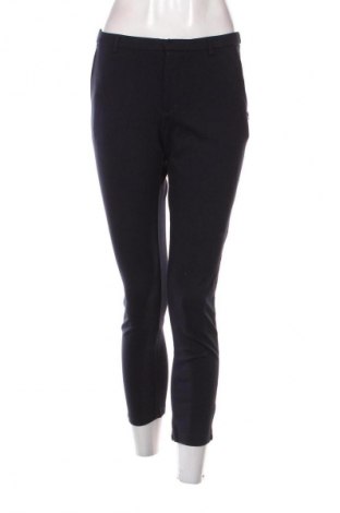 Damenhose Scotch & Soda, Größe L, Farbe Blau, Preis 27,99 €, #133166035