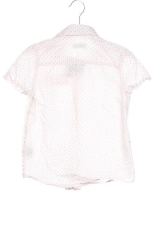 Dziecięca koszula LC Waikiki, Rozmiar 2-3y/ 98-104 cm, Kolor Kolorowy, Cena 6,99 zł