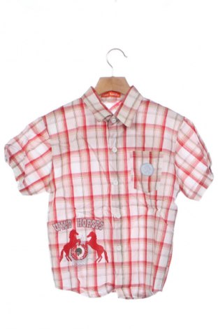 Dziecięca koszula Unbranded, Rozmiar 10-11y/ 146-152 cm, Kolor Kolorowy, Cena 6,99 zł