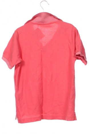 Dziecięcy T-shirt Psycho Bunny, Rozmiar 10-11y/ 146-152 cm, Kolor Różowy, Cena 36,41 zł