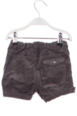 Dziecięce szorty Baby Club, Rozmiar 6-9m/ 68-74 cm, Kolor Szary, Cena 38,99 zł