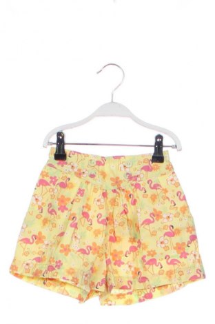 Dziecięce szorty Cherokee, Rozmiar 2-3y/ 98-104 cm, Kolor Kolorowy, Cena 6,99 zł