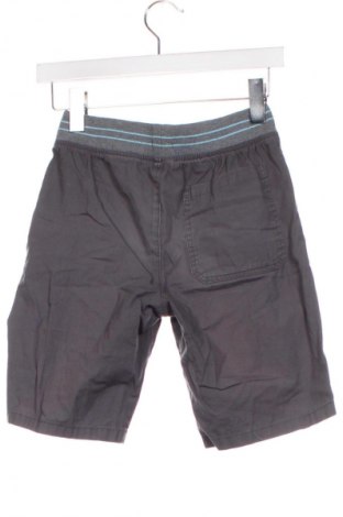 Dziecięce szorty Pepco, Rozmiar 11-12y/ 152-158 cm, Kolor Szary, Cena 6,99 zł