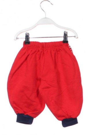 Dziecięce spodnie Schnizler, Rozmiar 3-6m/ 62-68 cm, Kolor Czerwony, Cena 6,99 zł