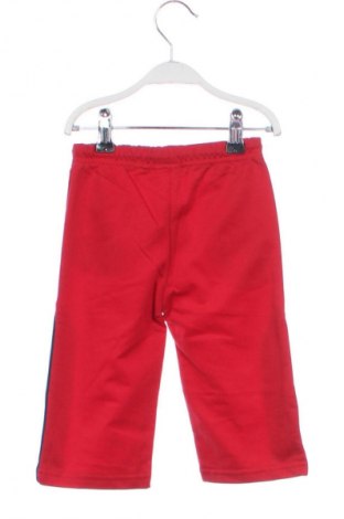 Dziecięce spodnie sportowe Unbranded, Rozmiar 9-12m/ 74-80 cm, Kolor Kolorowy, Cena 6,99 zł