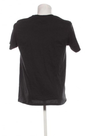 Herren T-Shirt Calvin Klein, Größe M, Farbe Schwarz, Preis € 10,99