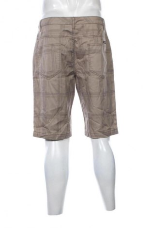 Herren Shorts Much More, Größe L, Farbe Mehrfarbig, Preis € 5,99