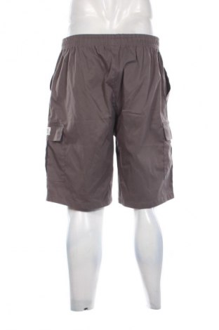 Herren Shorts Unbranded, Größe L, Farbe Grau, Preis € 7,99