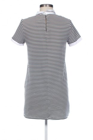Kleid Zara Trafaluc, Größe M, Farbe Mehrfarbig, Preis € 7,99