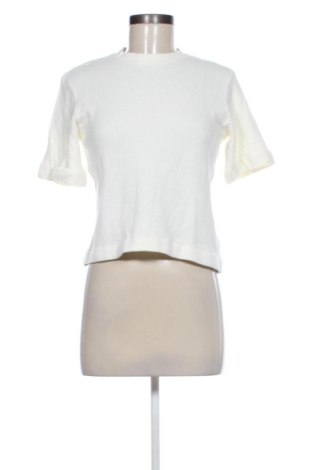 Damen Shirt Massimo Dutti, Größe S, Farbe Ecru, Preis 25,00 €, #137626641