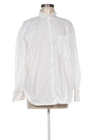 Damenbluse Mango, Größe XL, Farbe Weiß, Preis 14,00 €, #137599509