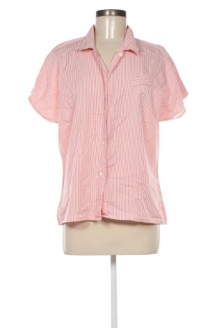 Damenbluse Unbranded, Größe XL, Farbe Mehrfarbig, Preis 10,29 €, #137622667