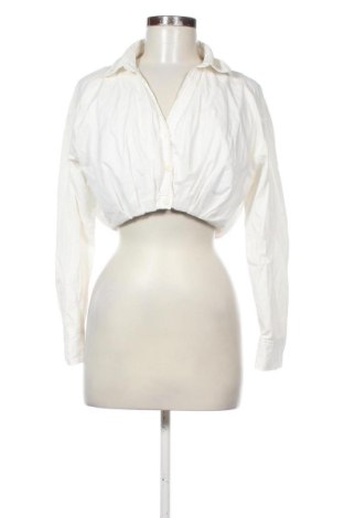 Damenbluse Zara, Größe S, Farbe Ecru, Preis 13,72 €, #137642738