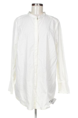 Damenbluse Unbranded, Größe XL, Farbe Ecru, Preis 19,99 €, #137642762