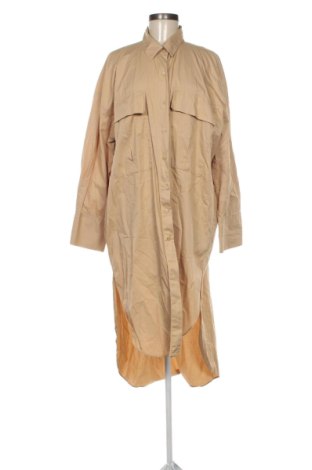 Damenbluse Zara, Größe L, Farbe Beige, Preis 15,00 €, #137597613