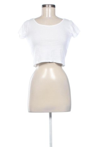 Damen T-Shirt Alcott, Größe S, Farbe Weiß, Preis € 7,43, #137647688