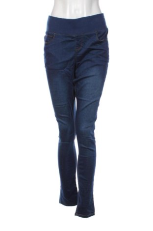 Damen Jeans Denim Co., Größe XXL, Farbe Blau, Preis € 15,00, #137625163