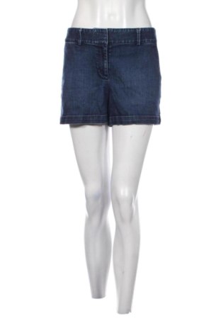 Damen Shorts Ann Taylor, Größe XL, Farbe Blau, Preis € 32,00, #137620502