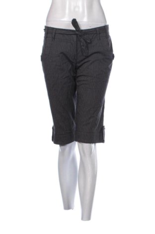 Damen Shorts Philip Russel, Größe M, Farbe Schwarz, Preis 14,10 €, #137634800