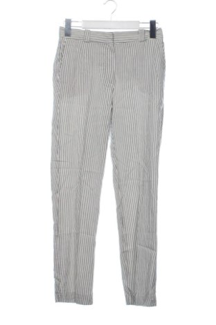 Damenhose Massimo Dutti, Größe S, Farbe Mehrfarbig, Preis 24,00 €, #137613804
