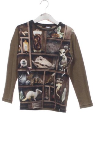 Kinder Shirt Molo, Größe 5-6y/ 116-122 cm, Farbe Mehrfarbig, Preis 27,68 €, #137624579