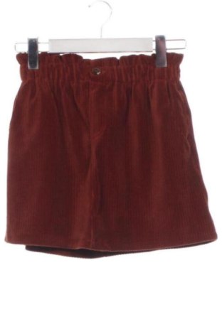 Fustă pentru copii Zara, Mărime 12-13y/ 158-164 cm, Culoare Maro, Preț 36,74 Lei, #137621523