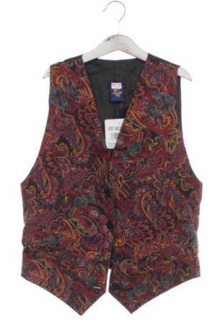 Vestă pentru copii Unbranded, Mărime 13-14y/ 164-168 cm, Culoare Multicolor, Preț 43,00 Lei, #137657083