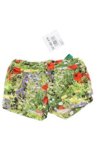 Παιδικό κοντό παντελόνι Wild, Μέγεθος 4-5y/ 110-116 εκ., Χρώμα Πολύχρωμο, Τιμή 10,00 €, #137607479