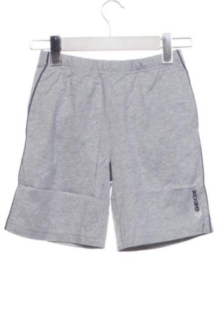 Dziecięce spodnie sportowe Geox, Rozmiar 7-8y/ 128-134 cm, Kolor Szary, Cena 118,54 zł, #137637238